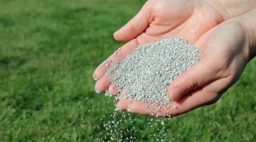 ارتفاع أسعار الأسمدة يصل إلى 2703 جنيهات وتأثيره المباشر على مزارعي ديسمبر 2025 1